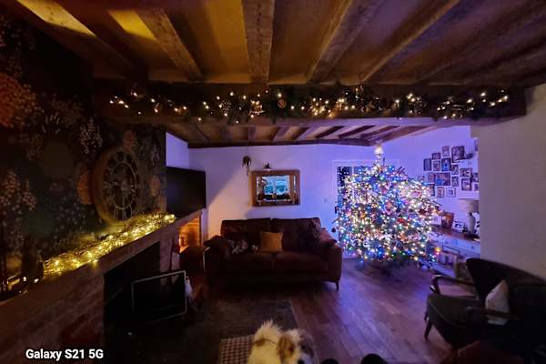 House sit in Newark on Trent, United Kingdom