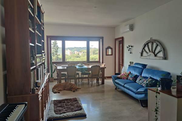 House sit in Rome, Italy
