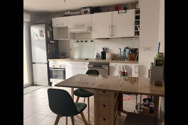 House sit in Toulouse, France