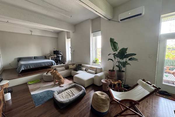 House sit in Montréal, QC, Canada