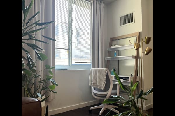 House sit in Borough of Queens, NY, US