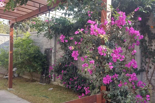 House sit in Tlaxcala, Mexico