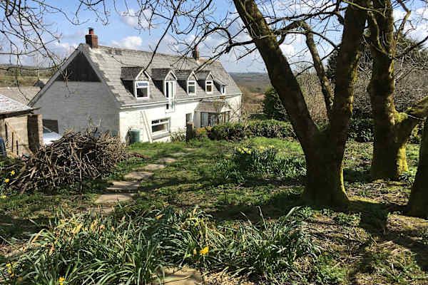 House sit in Helston, United Kingdom