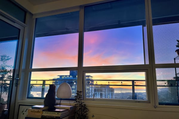 House sit in North Vancouver, BC, Canada