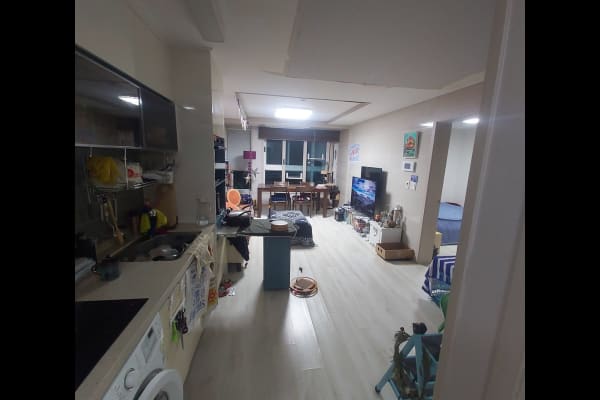 House sit in Seogwipo, South Korea