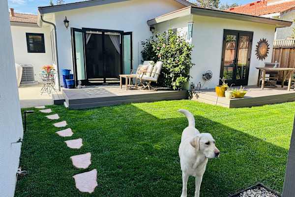 House sit in Palo Alto, CA, US