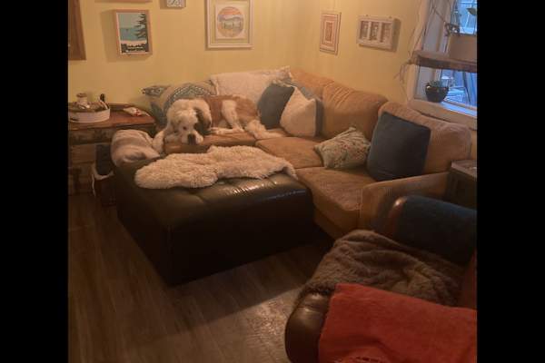 House sit in Shawnigan Lake, BC, Canada