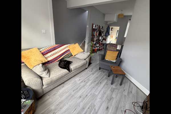 House sit in Cardiff, United Kingdom