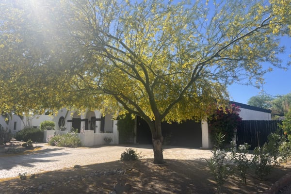 House sit in Scottsdale, AZ, US