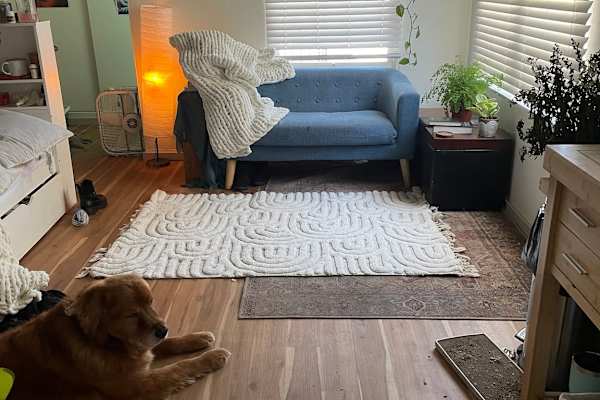 House sit in Santa Barbara, CA, US