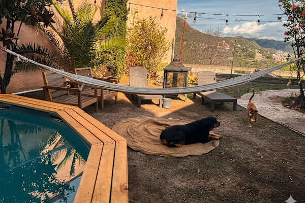 House sit in Guanajuato, Mexico