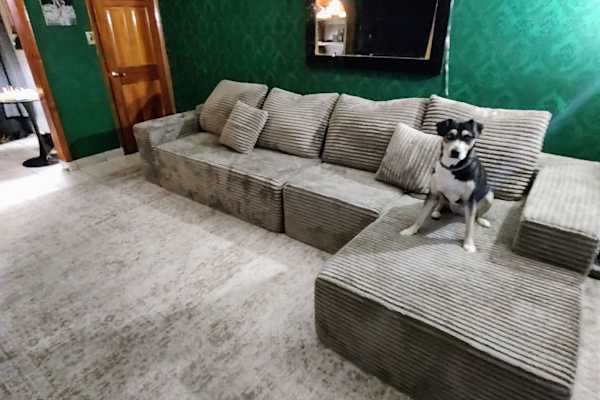 House sit in Philadelphia, PA, US