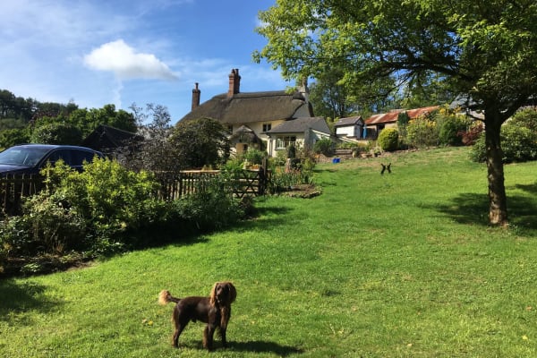 House sit in Chittlehampton, United Kingdom