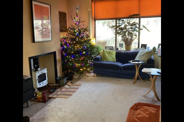 House sit in Nottingham, United Kingdom