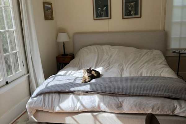 House sit in Palo Alto, CA, US