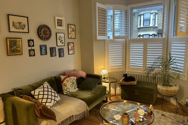 House sit in Leyton, United Kingdom