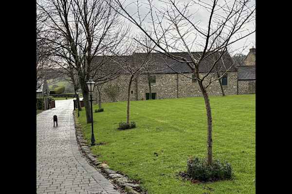 House sit in Ripon, United Kingdom