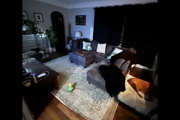 House sit in St. Catharines, ON, Canada