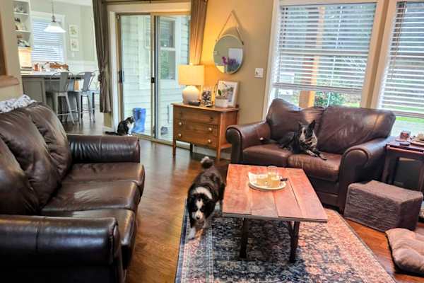House sit in Courtenay, BC, Canada