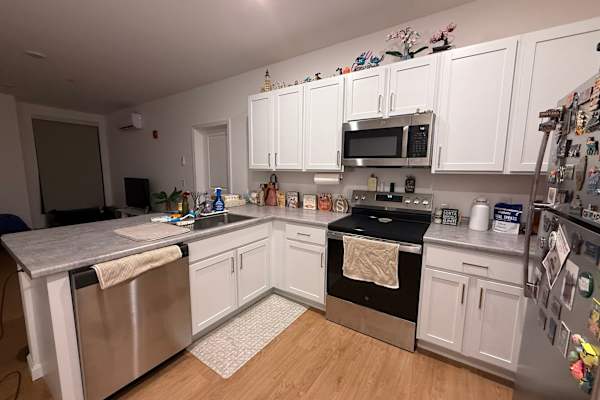 House sit in South Burlington, VT, US
