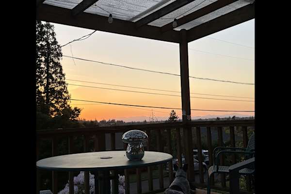 House sit in Eugene, OR, US