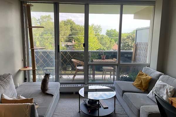 House sit in Toronto, ON, Canada