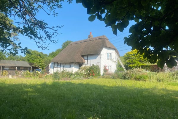 House sit in Denmead, United Kingdom