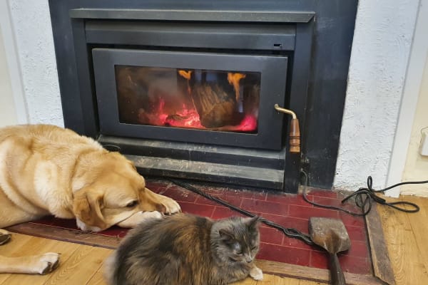 House sit in Kyneton, VIC, Australia