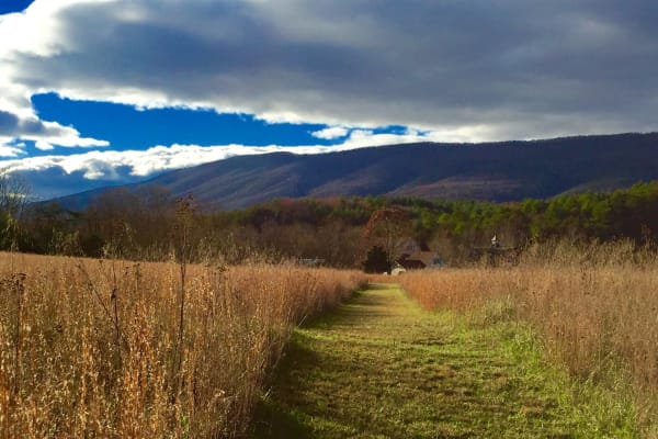 House sit in Blacksburg, VA, US