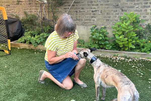 House sit in London, United Kingdom