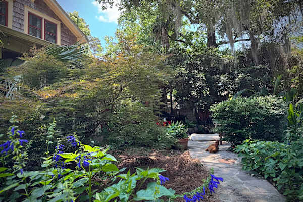 House sit in Tallahassee, FL, US