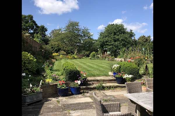 House sit in Saxmundham, United Kingdom