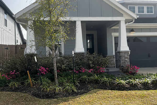 House sit in Houston, TX, US