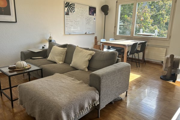 House sit in Zürich, Switzerland
