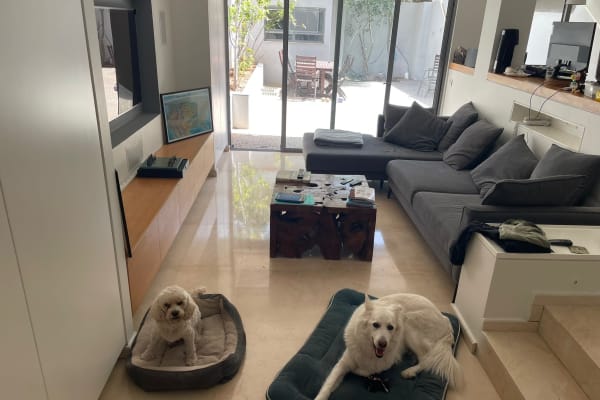 House sit in Tel Aviv, Israel