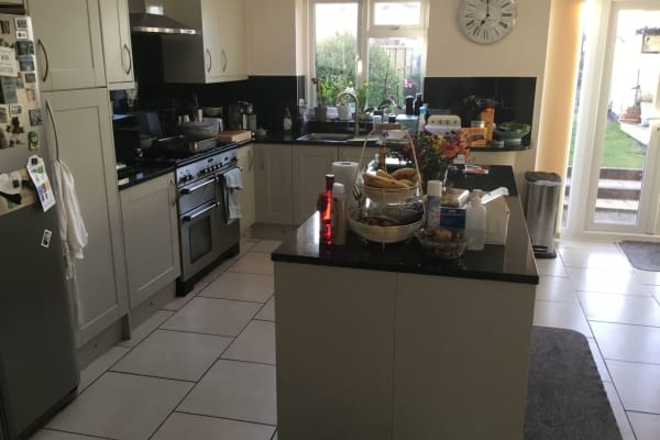 House sit in Taunton, United Kingdom