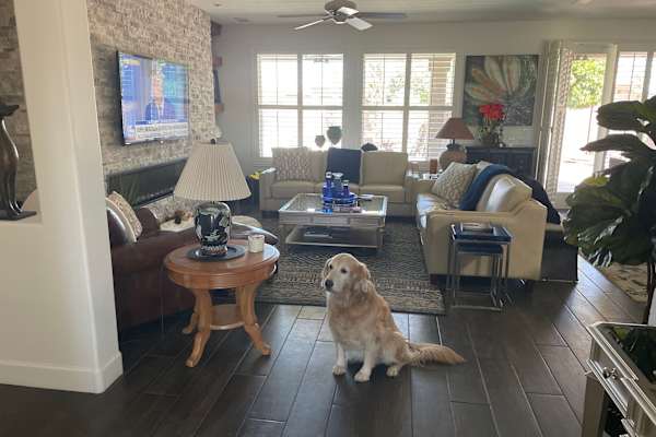 House sit in Surprise, AZ, US