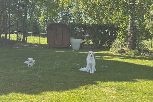 House sit in Wickede, Germany