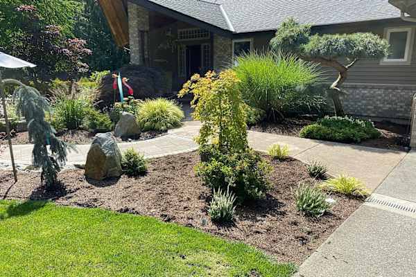 House sit in Snohomish, WA, US