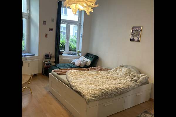 House sit in Berlin, Germany