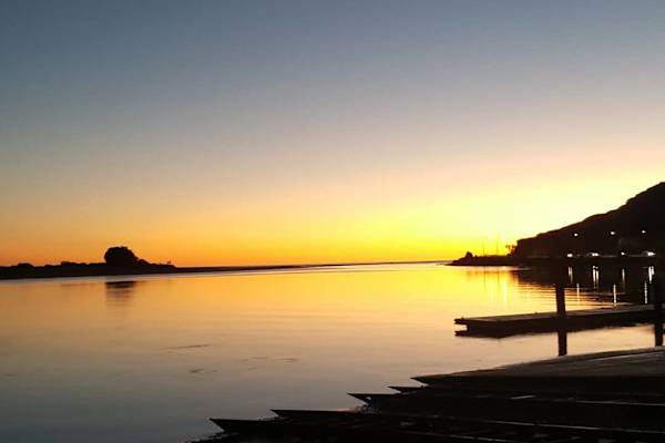 House sit in Christchurch, New Zealand