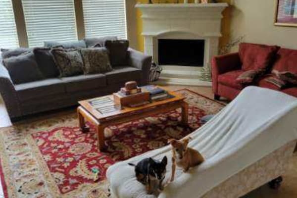 House sit in Katy, TX, US