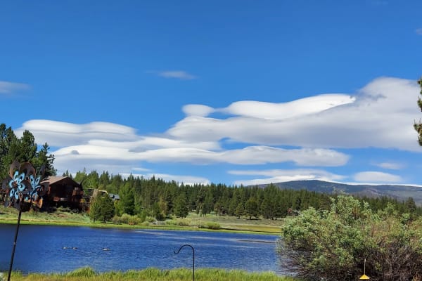 House sit in Truckee, CA, US