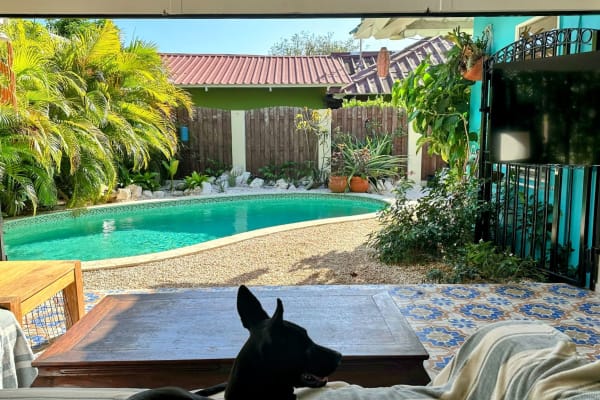 House sit in Kralendijk, Bonaire, Saint Eustatius and Saba 