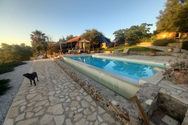 House sit in Chaniá, Greece