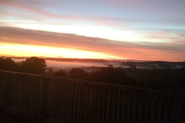 House sit in Waitakere, New Zealand