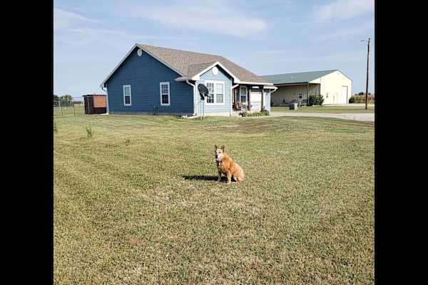 House sit in Severy, KS, US