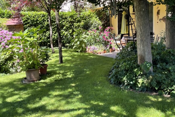 House sit in Cernusco sul Naviglio, Italy