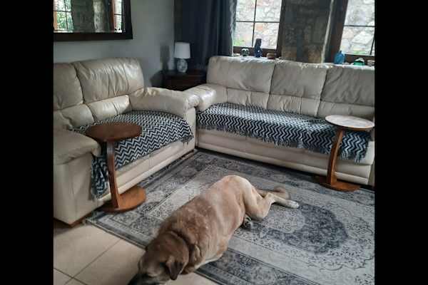 House sit in Fethiye, Turkey