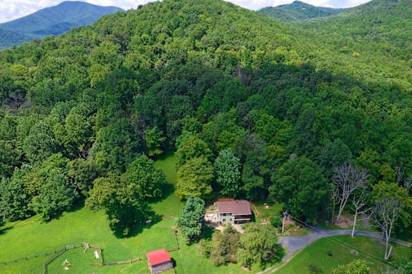 House sit in Nellysford, VA, US